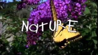 I Love Nature: A Song about the Natural World